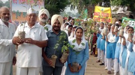 CLEANLINESS DRIVE AND TREE PLANTATION CARRIED OUT AT PREET NAGAR IN PUNJAB