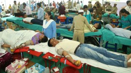 Blood Donated by 334 Devotees in Mumbai