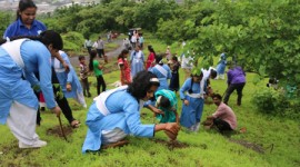 10,000 SAPLINGS PLANTED BY NIRANKARI DEVOTEES AT DINDIGARH NEAR BHIWANDI